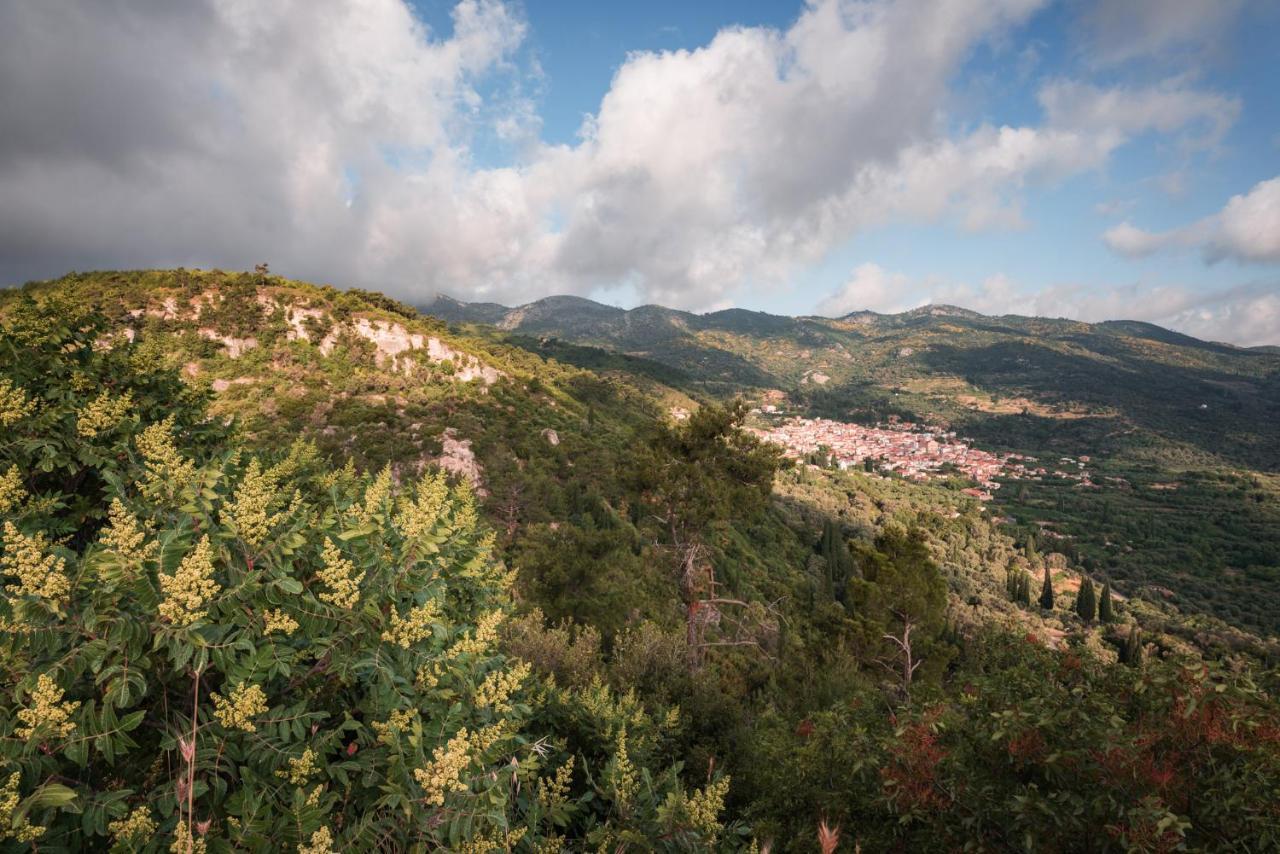 Villa Vicky Pythagoreio  Bagian luar foto