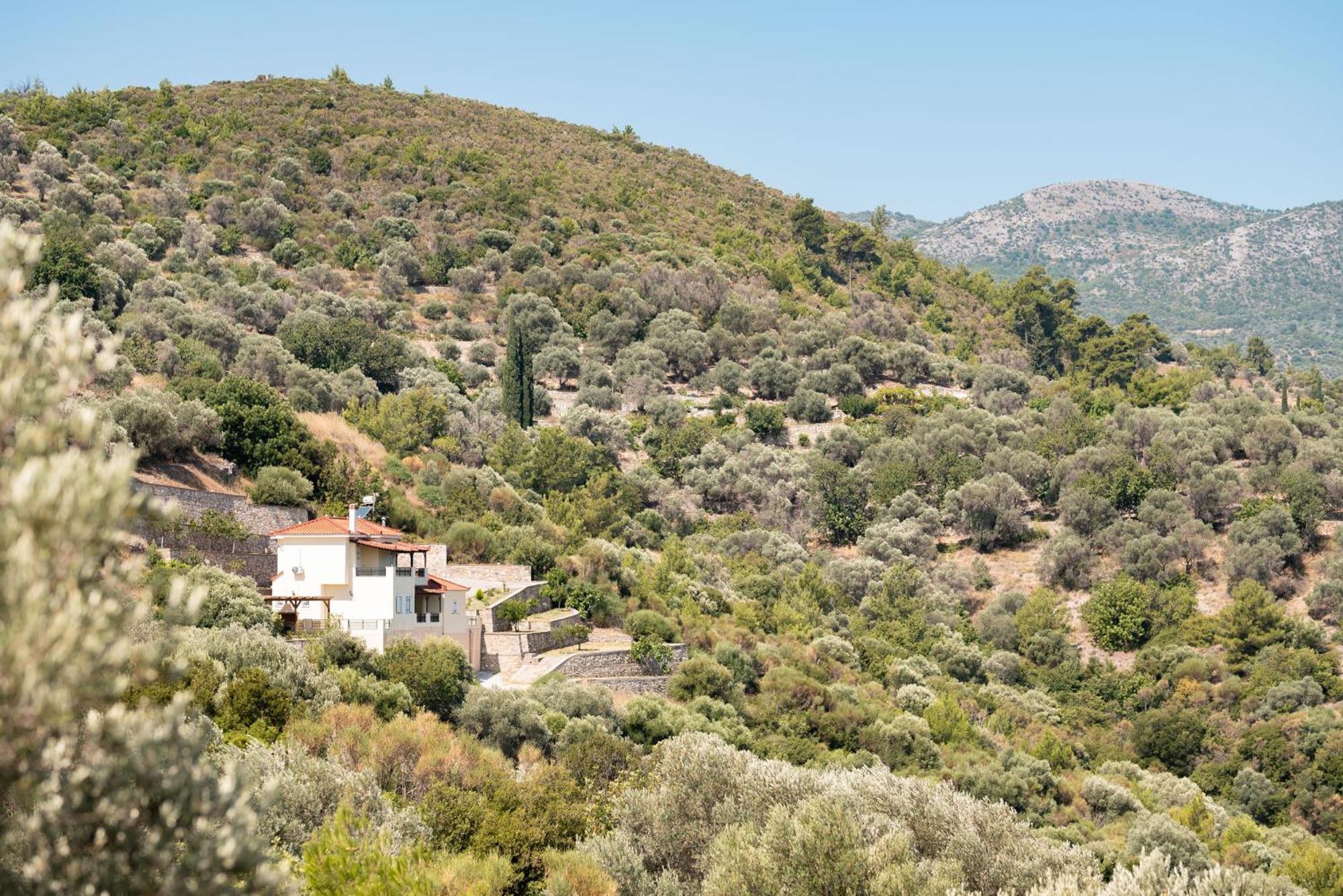 Villa Vicky Pythagoreio  Bagian luar foto